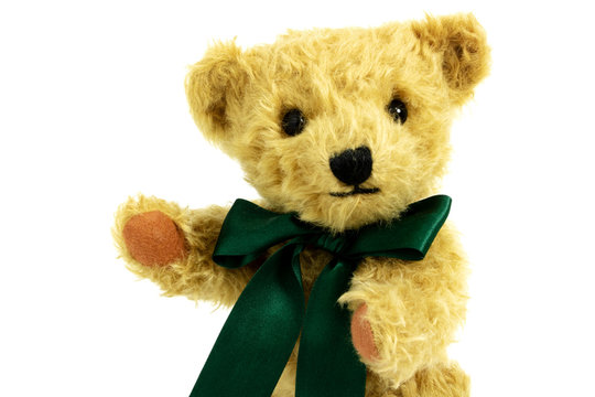 Portait of cute teddy bear with raised paw, toy is made from golden mohair complemented with pure wool
