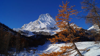 neve e gialo © Paolo Vairoli