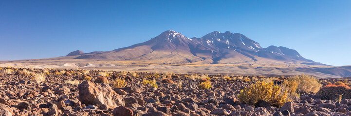 Atacama desert, Chile, Andes, South America. Beautiful view and landscape.