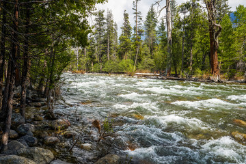 Mountain River in Sequoia National Park, California, USA.