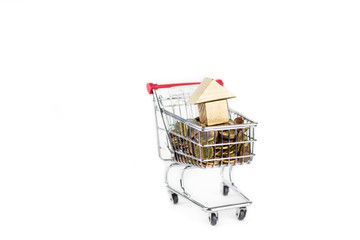 Euro coins in a shopping cart to buy new home, saving money to buy house concept, white isolated...