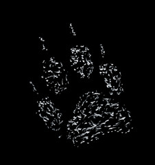 footprint of a wolf