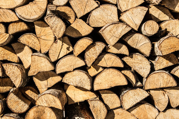 Yellow cut willow firewood for winter in sunlight.