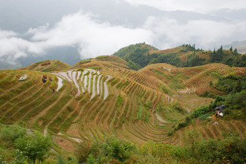 Fototapeta na wymiar The Terraced fields of China