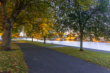 Trees lined up alongside footpath on the side of Victoria Embankment in Nottingham