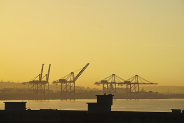 Fototapeta premium Gantry Cranes Sunrise Seattle
