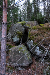 Old stones overgrown with moss and branches of spruce and pine.