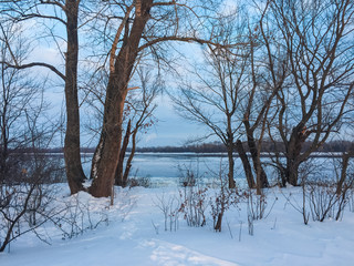 Cold winter landscape with blue sky. Footprints on fresh puffy snow lead to river through trees.
