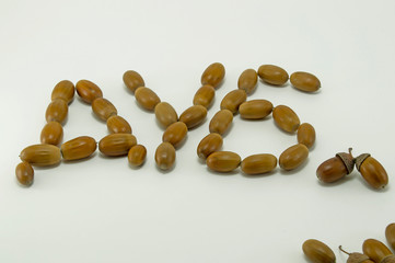 Слово дуб сложенное из желудей.