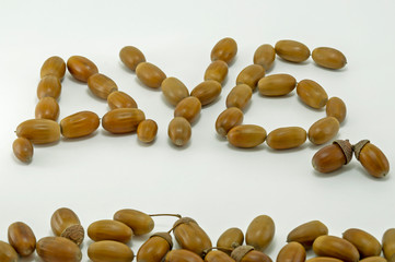 Слово дуб сложенное из желудей.