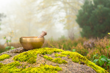 Tibetan bowl on the background of a beautiful landscape on a foggy autumn morning. A small singing bowl with a stick inside to the left of the frame surrounded by beautiful nature.