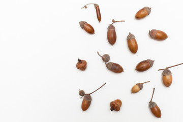 acorns pattern on white background. Flat lay with space for text