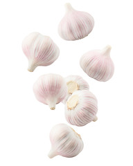 Falling garlic, isolated on white background, clipping path, full depth of field