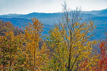 Fototapeta na wymiar Fall colors in the Great Smoky Mountains National Park.