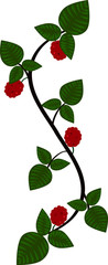 Folk art Raspberry vine scroll