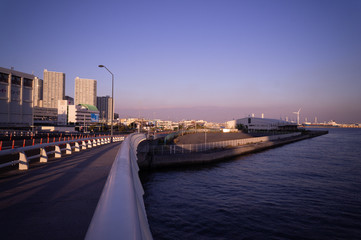 橋と海