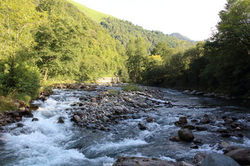 Torrente