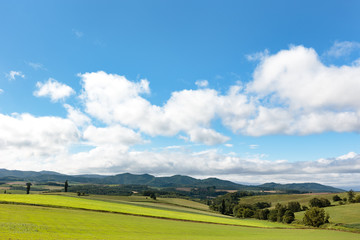 北海道美瑛の風景