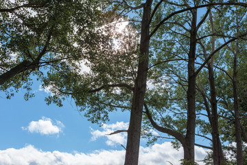 北海道美瑛の風景