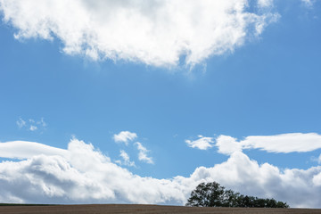 北海道美瑛の風景