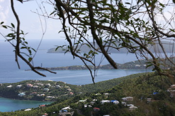 Obraz premium view through branches