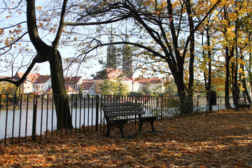 ławka w parku przy rzece jesienna aurą