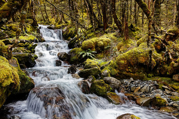 Cascade, Nelson Lakes National Park, New Zealand