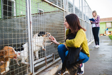 Young woman with worker choosing which dog to adopt from a shelter.