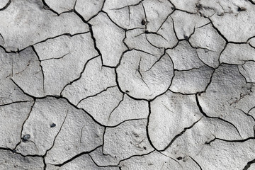 Drought and a dried out landscape