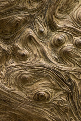 Mt. Rainier National Park area