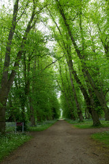 Obraz premium Dover England sites, places, and Architecture