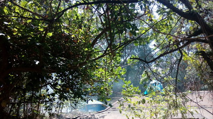 kerala