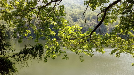 kerala