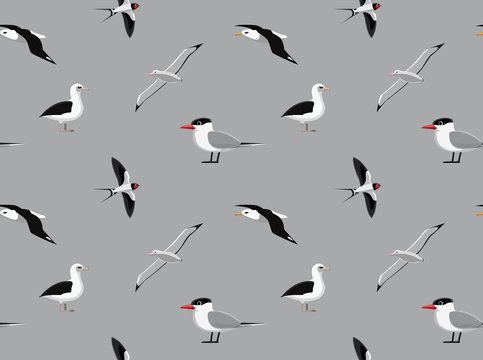 Random Australian Birds Wallpaper 4