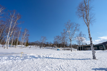 北海道の冬景色