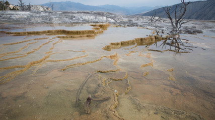 Geothermal Hotspots of Yellowstone National Park