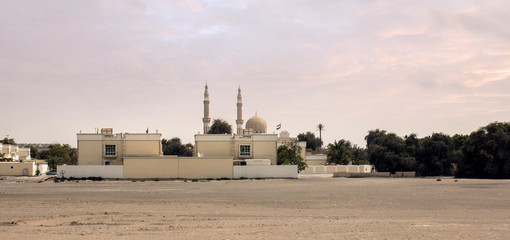 Fototapeta na wymiar A palace in the desert in Dubai, UAE