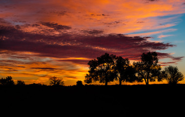 Fototapeta premium A Beautiful Sunrise on the Plains of Colorado