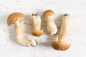 forest white mushrooms (sep) on a wooden background
