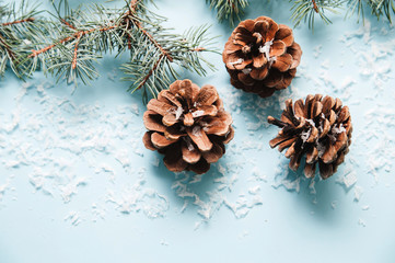 Pinecones on christmas blue background.
