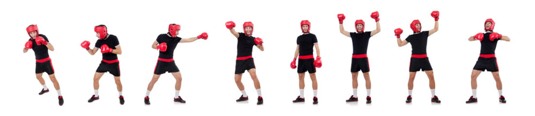 Funny boxer isolated on the white