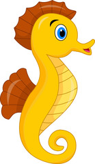 Cute seahorse cartoon