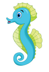 Cute seahorse cartoon
