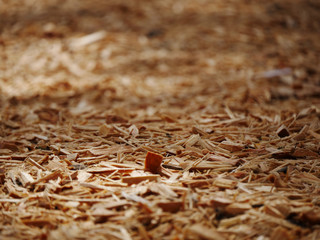 Mulch and bark ground cover