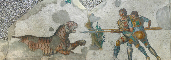 Tiger defending itself against hunters