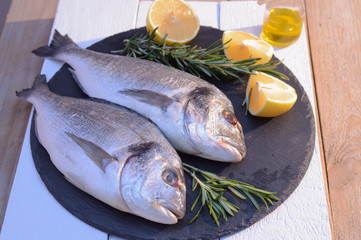 dorado fish on a black plate with lemon, rosemary
