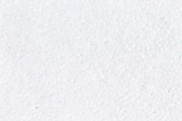 white polystyrene foam background.