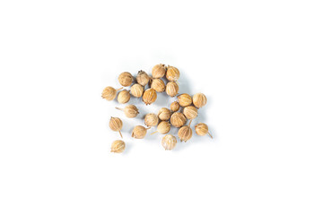 Coriander seed on white background.