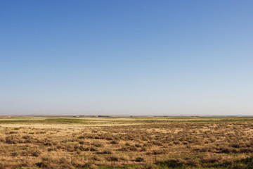 Wide steppes, flat terrain extends to the horizon against a clear blue sky. Dry grass in the meadows in Texas, America