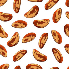 Pattern of vector colorful illustrations on the nutrition theme; set of brazil nuts. Realistic isolated objects for your design.